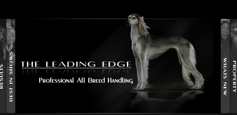 The Leading Edge - All Breed Professional Dog Handling