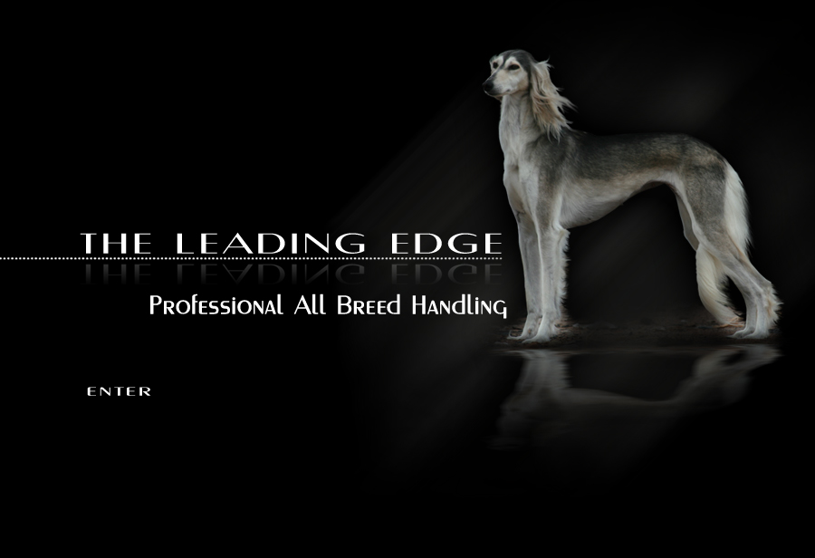 The Leading Edge - Professional All Breed Handling